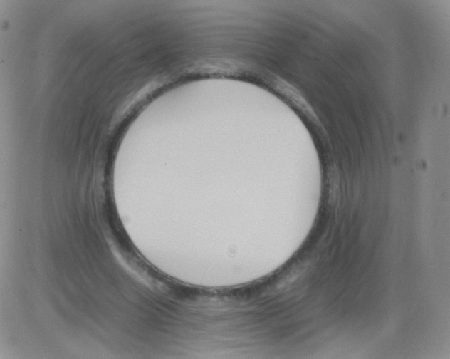 X0000082700538200702232233