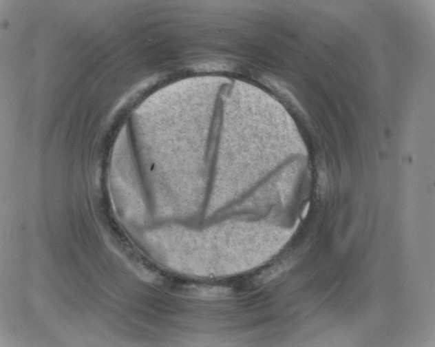 X0000082700539200702232233