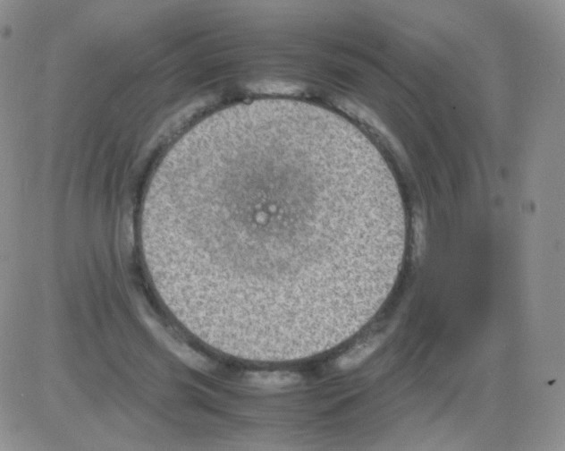 X0000082700541200702232233