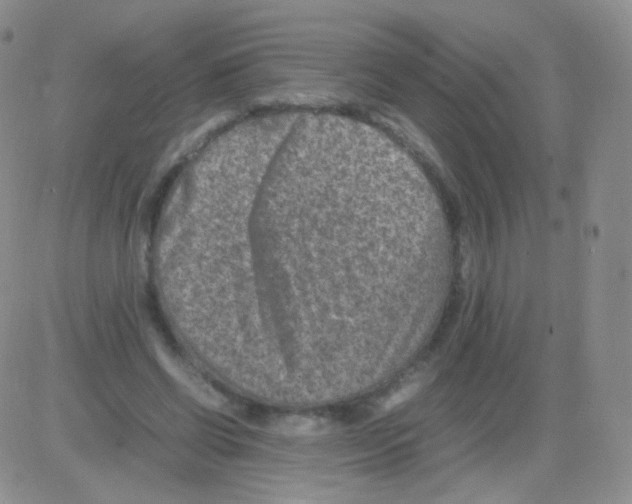 X0000082700542200702232233