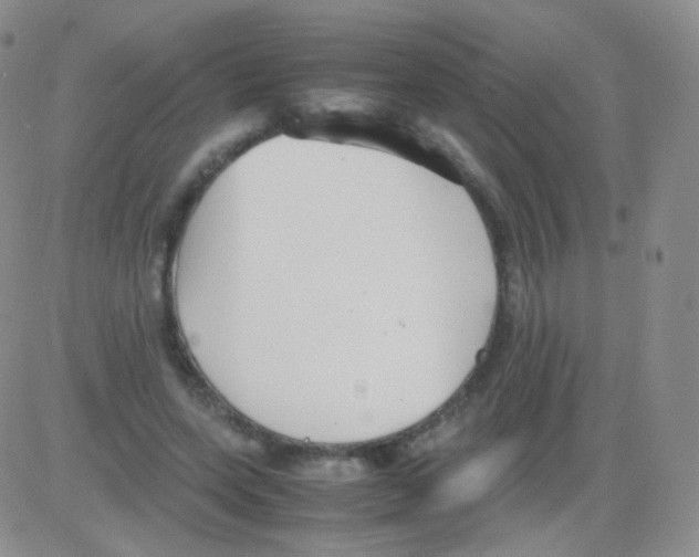 X0000082700543200702232233