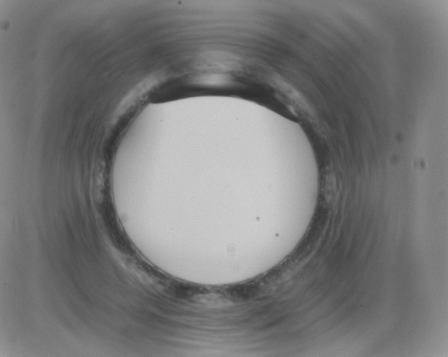 X0000082700544200702232233