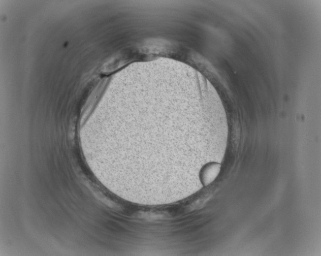 X0000082700545200702232233