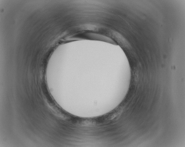 X0000082700546200702232233