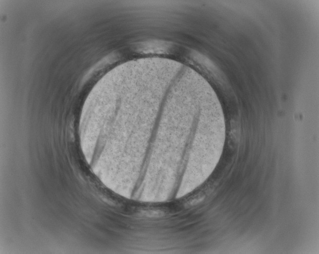 X0000082700547200702232233