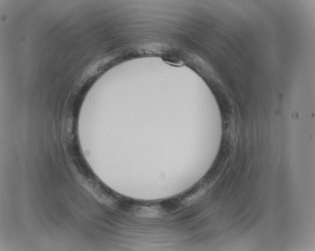 X0000082700548200702232233