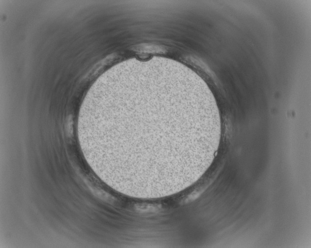 X0000082700549200702232233