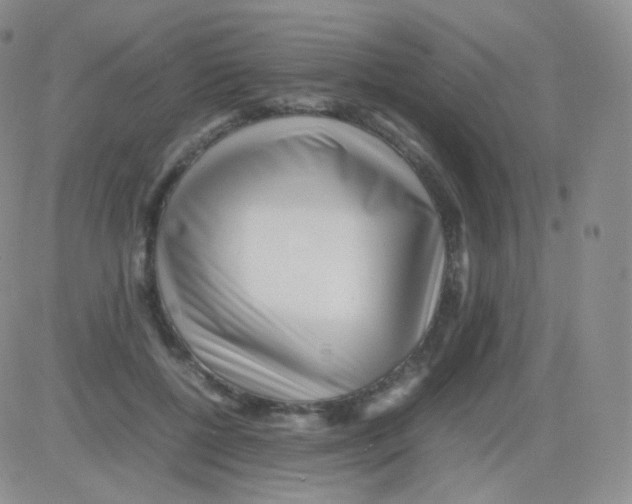 X0000082700552200702232233