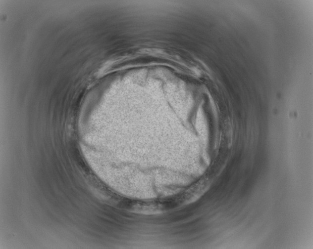 X0000082700553200702232233