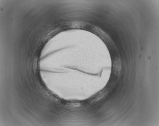 X0000082700554200702232233