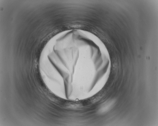 X0000082700555200702232233