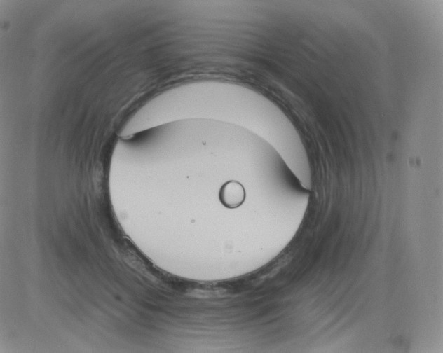 X0000082700556200702232233