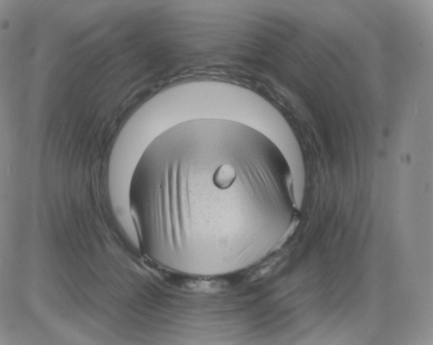 X0000082700558200702232233