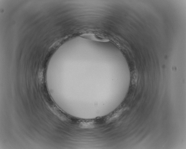 X0000082700560200702232233