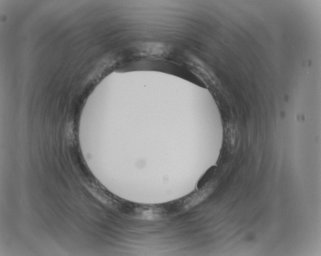 X0000082700564200702232233