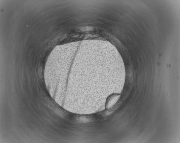 X0000082700565200702232233