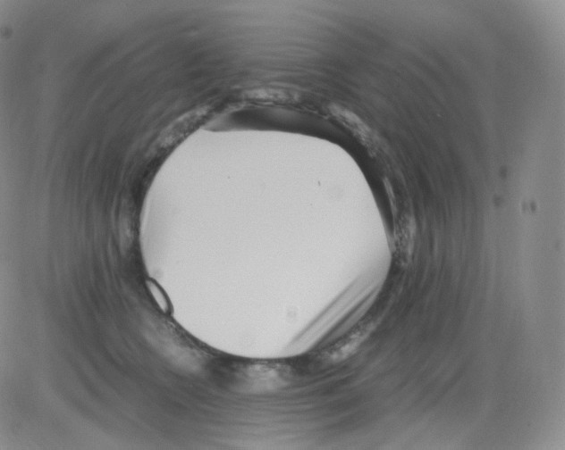 X0000082700566200702232233