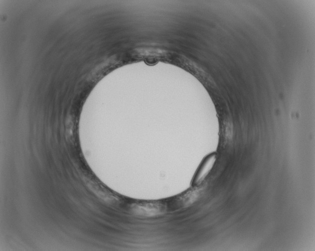 X0000082700567200702232233