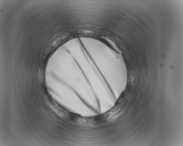 X0000082700568200702232233