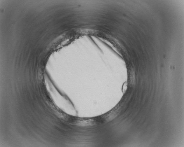 X0000082700569200702232233