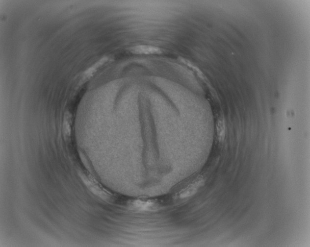 X0000082700570200702232233