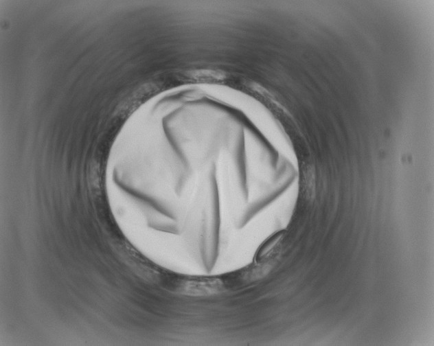 X0000082700571200702232233