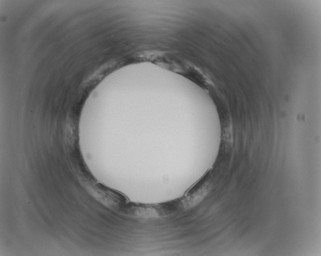 X0000082700572200702232233