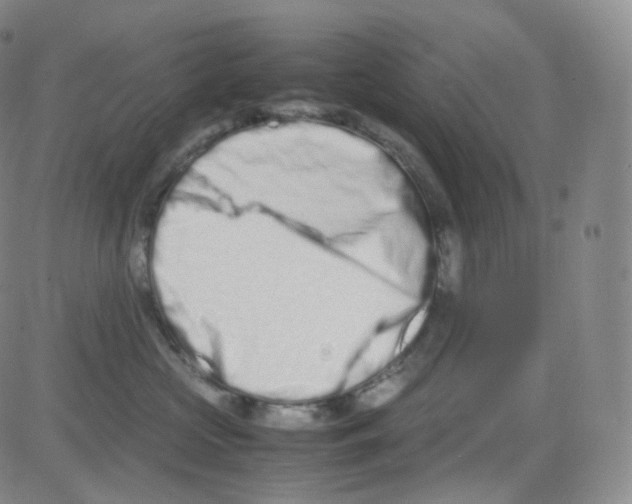 X0000082700573200702232233