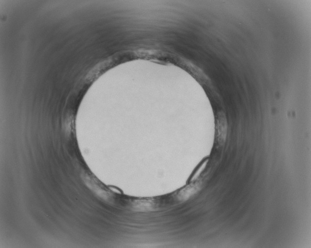 X0000082700574200702232233