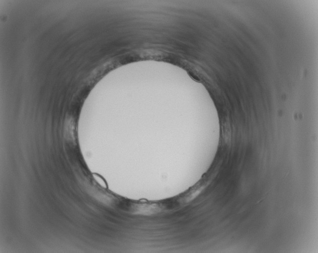 X0000082700575200702232233