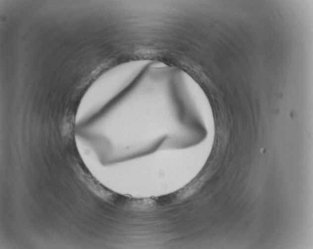 X0000082700576200702232233