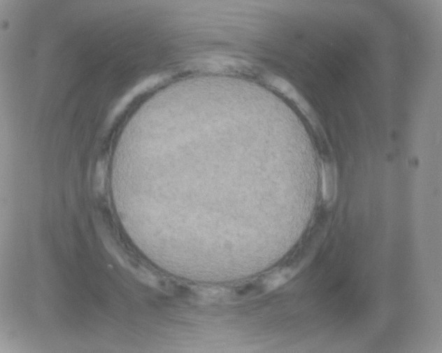 X0000082700579200702232232