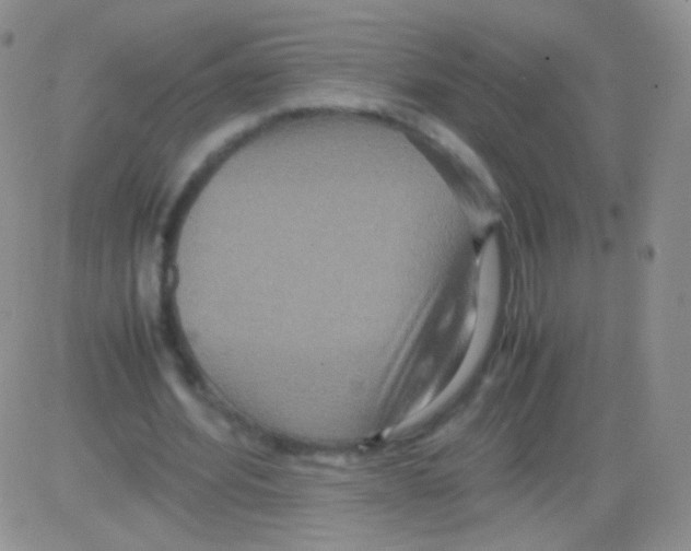 X0000082700580200702232232