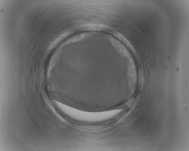 X0000082700581200702232232