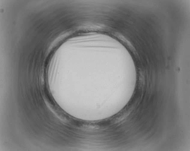 X0000082700582200702232232