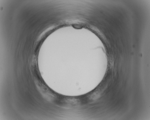 X0000082700583200702232232