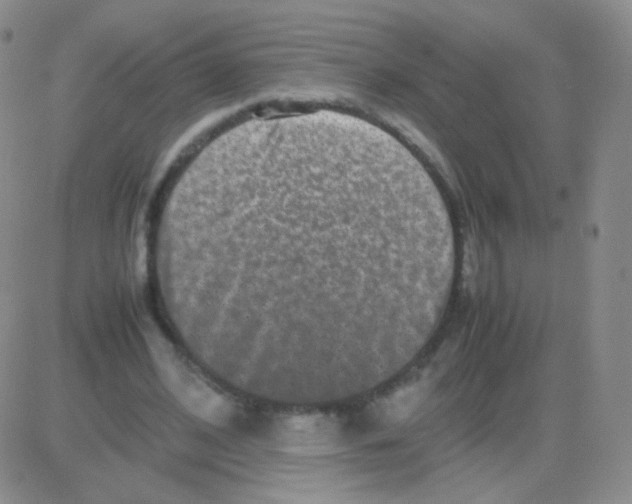 X0000082700584200702232232