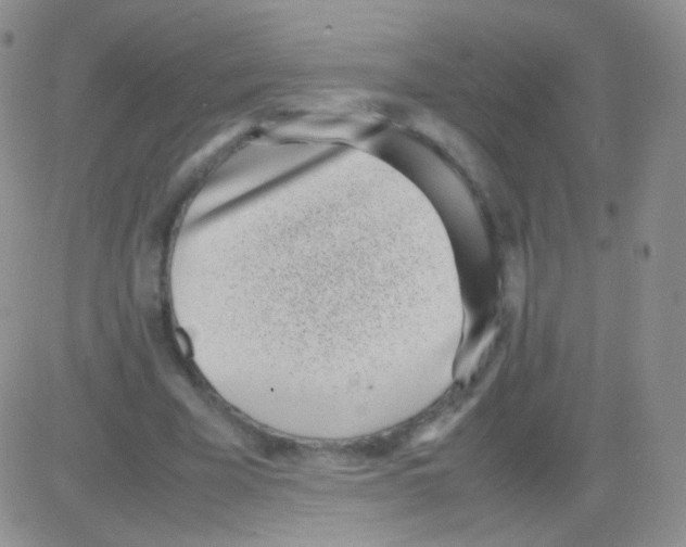 X0000082700585200702232232