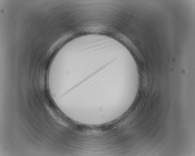 X0000082700586200702232232