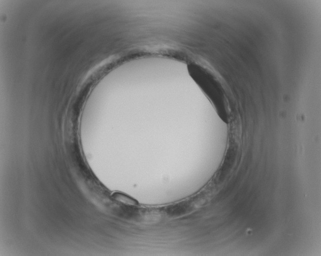 X0000082700587200702232232