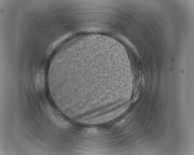 X0000082700588200702232232