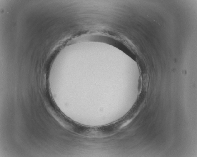 X0000082700589200702232232