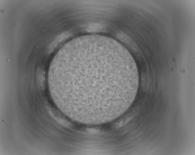 X0000082700592200702232232