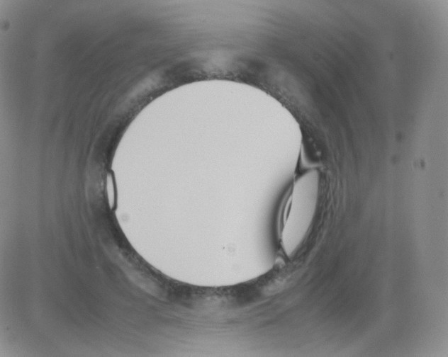 X0000082700593200702232232