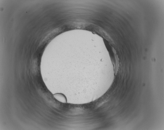 X0000082700594200702232232