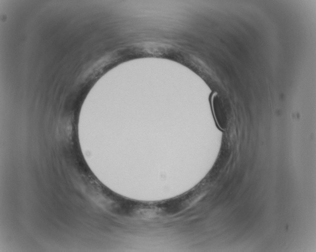 X0000082700595200702232232