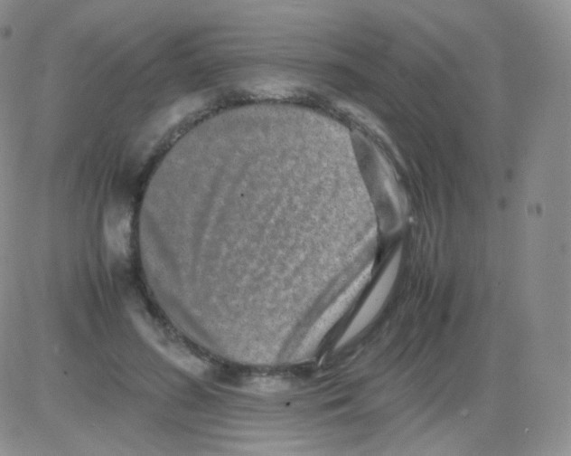 X0000082700596200702232232