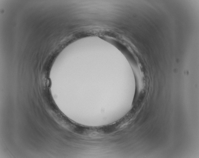 X0000082700597200702232232