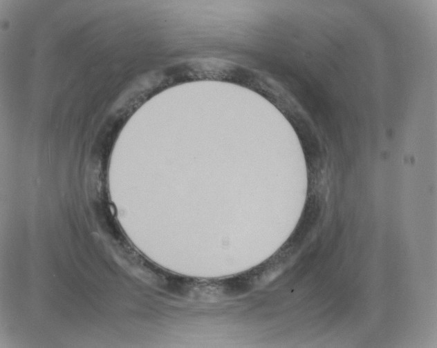 X0000082700599200702232232