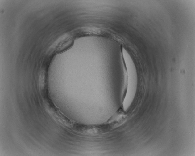 X0000082700600200702232232